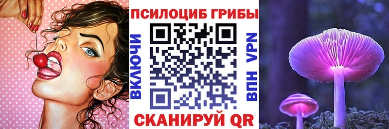 Купить  Пудож  Галлюциногенные грибы Psilocybine cubensis 
